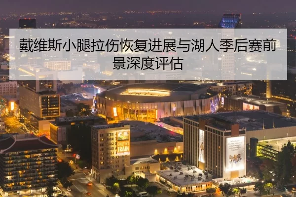 戴维斯小腿拉伤恢复进展与湖人季后赛前景深度评估