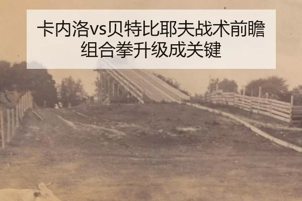 卡内洛vs贝特比耶夫战术前瞻 组合拳升级成关键